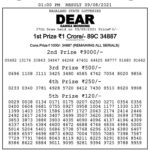 Dear ganga Lottery Result
